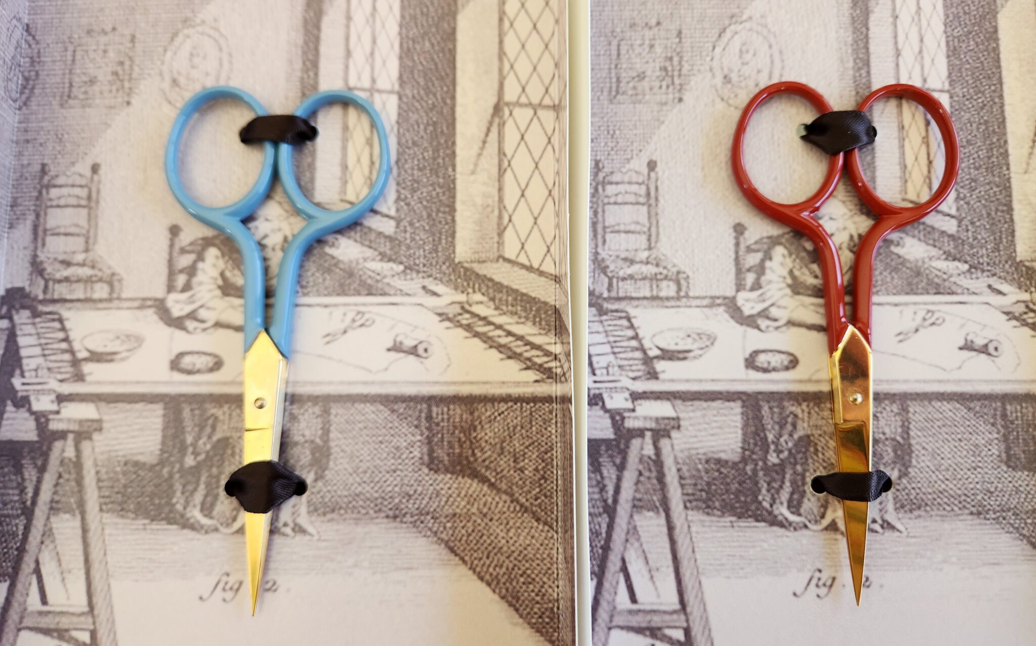 The Girl With The Golden Scissors A Novel alisoncoleembroidery.com.au